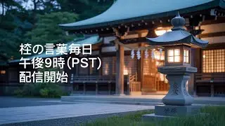 🎥 Title: LIVE Healing Transmission &ndash; Let the Energy Return You to Yourself