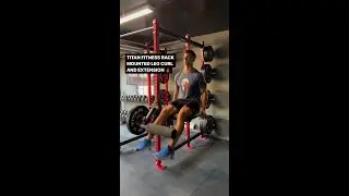 Rack Mounted Leg Curl and Extension