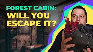 Forest Cabin: inside the escape room
