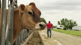 Waterman Dairy Center