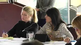 SC Domestic Violence Task Force complains about bad data