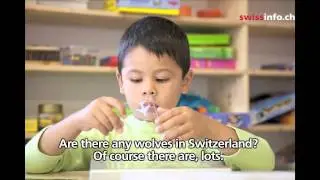 Multi-age learning in primary school