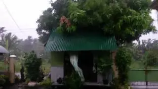 Tropical Storm Marce Strikes the Philippines