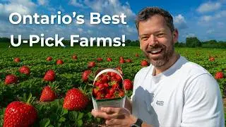 Don&rsquo;t Miss These Ontario Fruit Farms This Summer