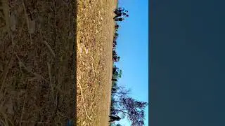 16 January 2026