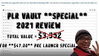 PLR Vault SPECIAL 2021 Review