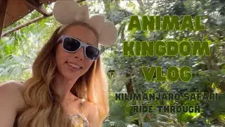 Animal Kingdom Vlog / Kilimanjaro Safari Ride-Through