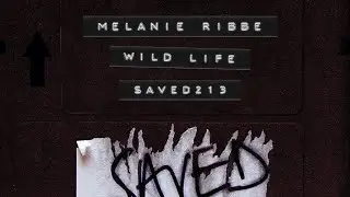 Melanie Ribbe - Wild Life (Extended Mix)