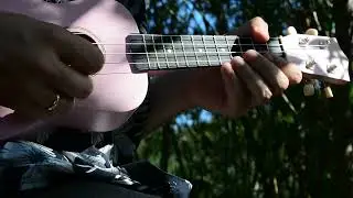 Dancing Polish Cow - MEME (Ukulele COVER)