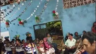 Danza Santa Cecilia de Ixcatlan Hidalgo Bo.Tachiquil Tels Lucia 7716761767 y Mónica 7717294996.