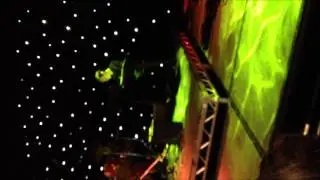 The Felines - Paradise Cover!