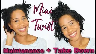 Mini Twist Maintenance and Take Down | How to Keep your Twists Moisturized! | Gabrielle Ishell