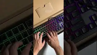 NEW Razer Ornata V3 Sound & RGB Test