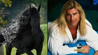 'Sexy' Horse with Insane Mane is Now Insta-Famous