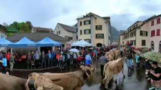 Alp Foo 360 Grad Video