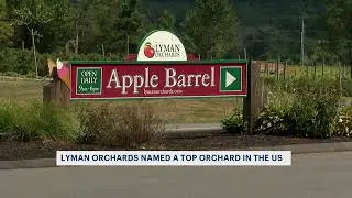 Connecticut apple orchard named top 10 across US according to Yelp