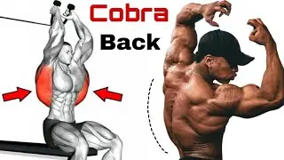 Exercises to Build Cobra Back Workout - Cobra Back