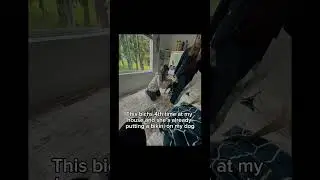 NOT COALIEE