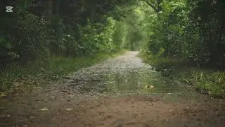 Rain sound for sleeping, insomnia sound @love.u2.77