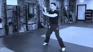 Sifu James Cheung Traditional Wing Chun