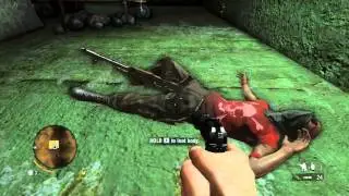 Is that a gun in your pocket? - Far Cry 3