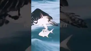 Don't Ever Be Afraid