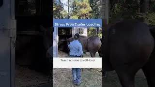 🚛 Teach Your Horse to Self-Load   #horse #horsecaretips