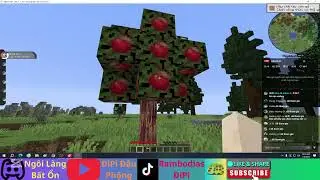Restream Pixelmon 2025 ep 1 : Content cũ seri mới v&agrave; thử th&aacute;ch mới