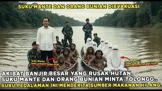 HUTAN ACEH GEMPAR‼️ SUKU MANTE DAN ORANG BUNIAN DIEVAKUASI DARI HUTAN RIMBA KARENA ALAM HUTAN RUSAK.