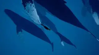 ABZU Is Beautiful