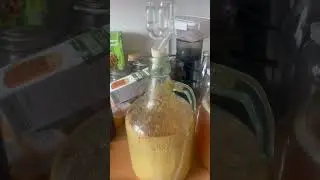 The peach cider is doing good in 2nd fermention. #peachbeer #peachcider #brewing