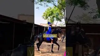 Nihang Singh Jaikara #shorts