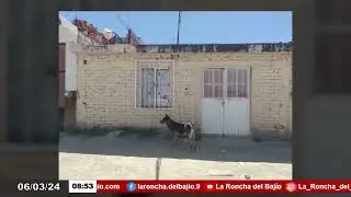 Inicia la fase de alistamiento para los j&oacute;venes generaci&oacute;n 2006 para cumplir con servicio militar,