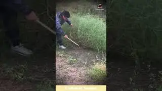 Simple but Effective Cutting Weeds by Hand with a Sickle #shorts #craftsmanship #craftsman