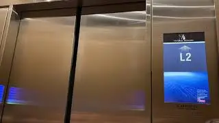Ride up the Freight Elevator in the Willis (Sears) Tower up to Skydeck