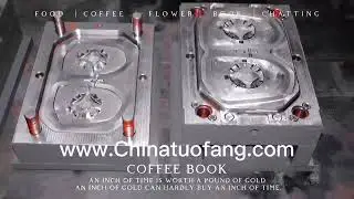 Automotive Rear View Mirror Panel Mould maker in China