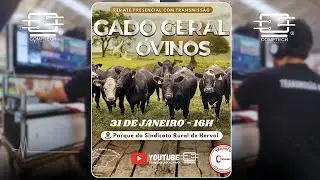 31-01-2026 | 17H - GADO GERAL & OVINOS - TRIUNFO REMATES RURAIS