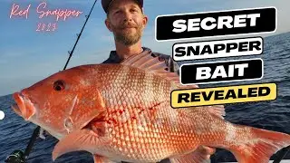 Red Snapper Fishing out of Sebastian Inlet on a Contender 44ST