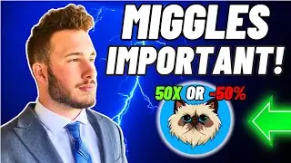 Mister Miggles: UNDERSTAND THIS!!!
