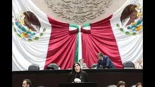 Dip. Celeste Mora Eguiluz (MORENA) / Presentaci&oacute;n de reservas