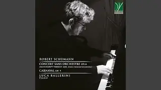 Concert sans Orchestre in F Minor, Op. 14: I. Allegro brillante