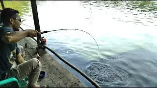 Reel test ryobi virtus 4000 combine rod viper perseus