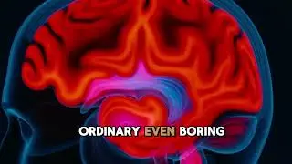 THE QUIET WAY OUT - HOW TO MAKE YOUR ADDICTION BORING