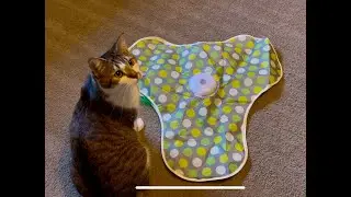 PAWSPIK Interactive Cat Toy Hide & Seek Concealed Feather