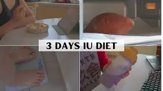 Diet Vlog | I tried IU&rsquo;s diet for 3 days (K-pop idol diet)