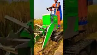 #Modern Mini Harvester Machine | Woman Leading the Future #agriculture #farmmachinery #modernfarming