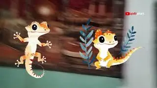 SOUND OF GECKO ~ SOUND EFFECT