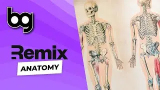 💿 remix anatomy