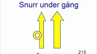 215 -Snurr under g&aring;ng, fr&aring;n f&ouml;raren.