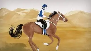 Equestrian disciplines: Endurance